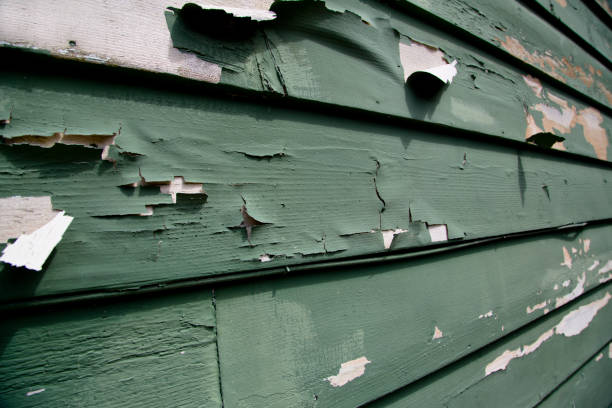 Trusted Rollingwood, TX Siding Installation & Repair Experts